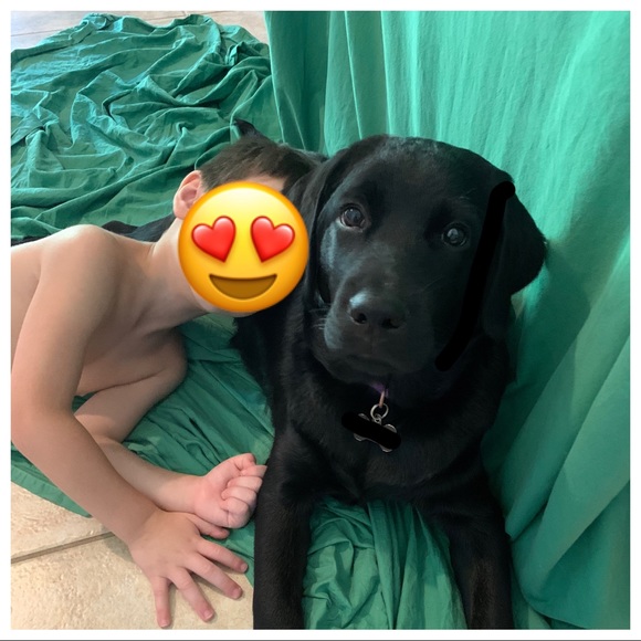 Meet your Posher, Allison - Picture 2 of 2